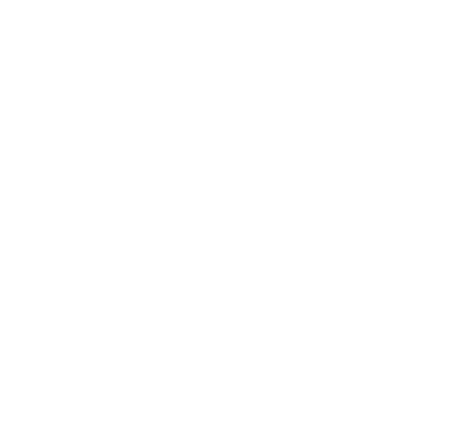 Rnv.ai Logo